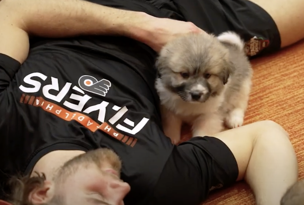 Hockey & Hounds – Puppies in Training with The Flyers